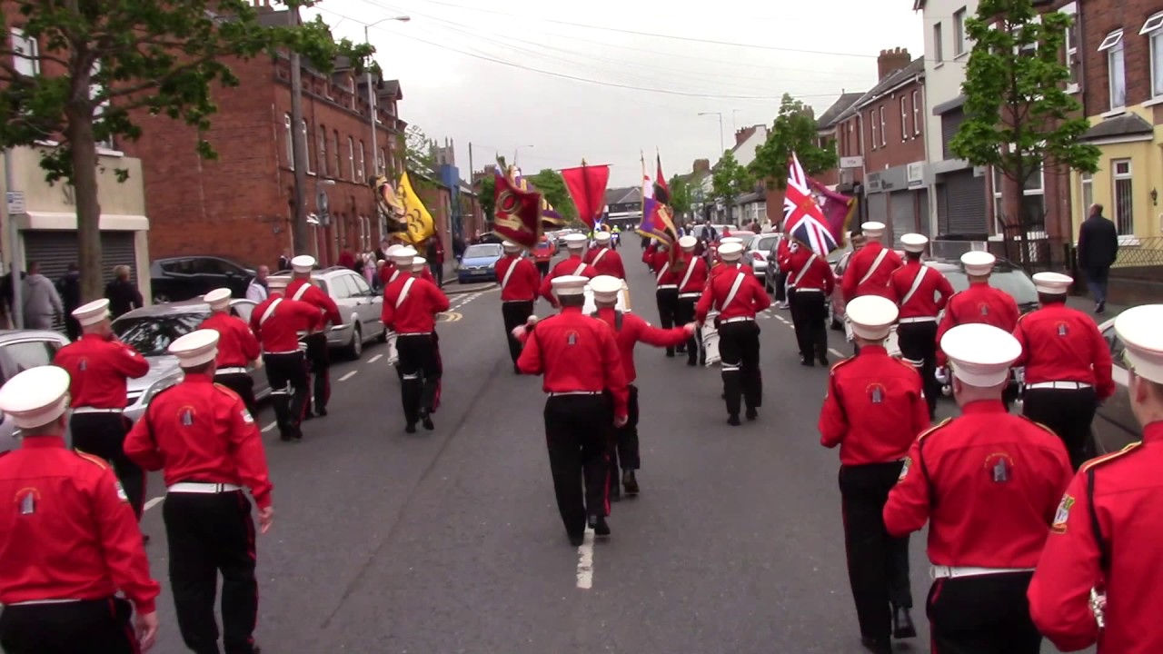 Newstevenston Loyal FB @ East Belfast Protestant Boys FB 50th Anniversary Parade 2017