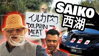 ***ASAIN SELLING DOLPHIN MEAT***