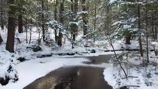 beautiful nature view beautiful nature place soft music video natural video song screenshot 2