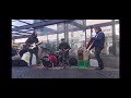 This Band Turns a Bus Stop Into a Concert!