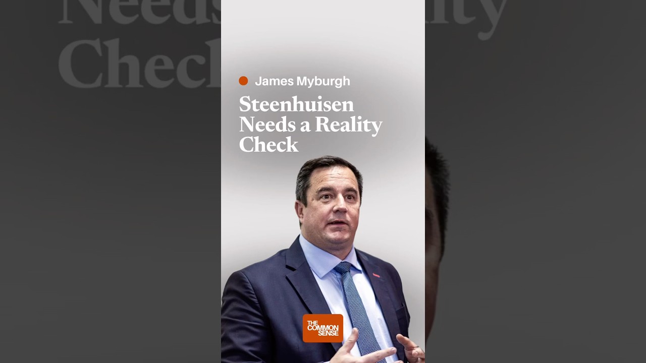 Steenhuisen Needs a Reality Check