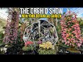 ⁴ᴷ Virtual Tour of The Orchid Show at New York Botanical Garden 2022: Jeff Leatham's Kaleidoscope