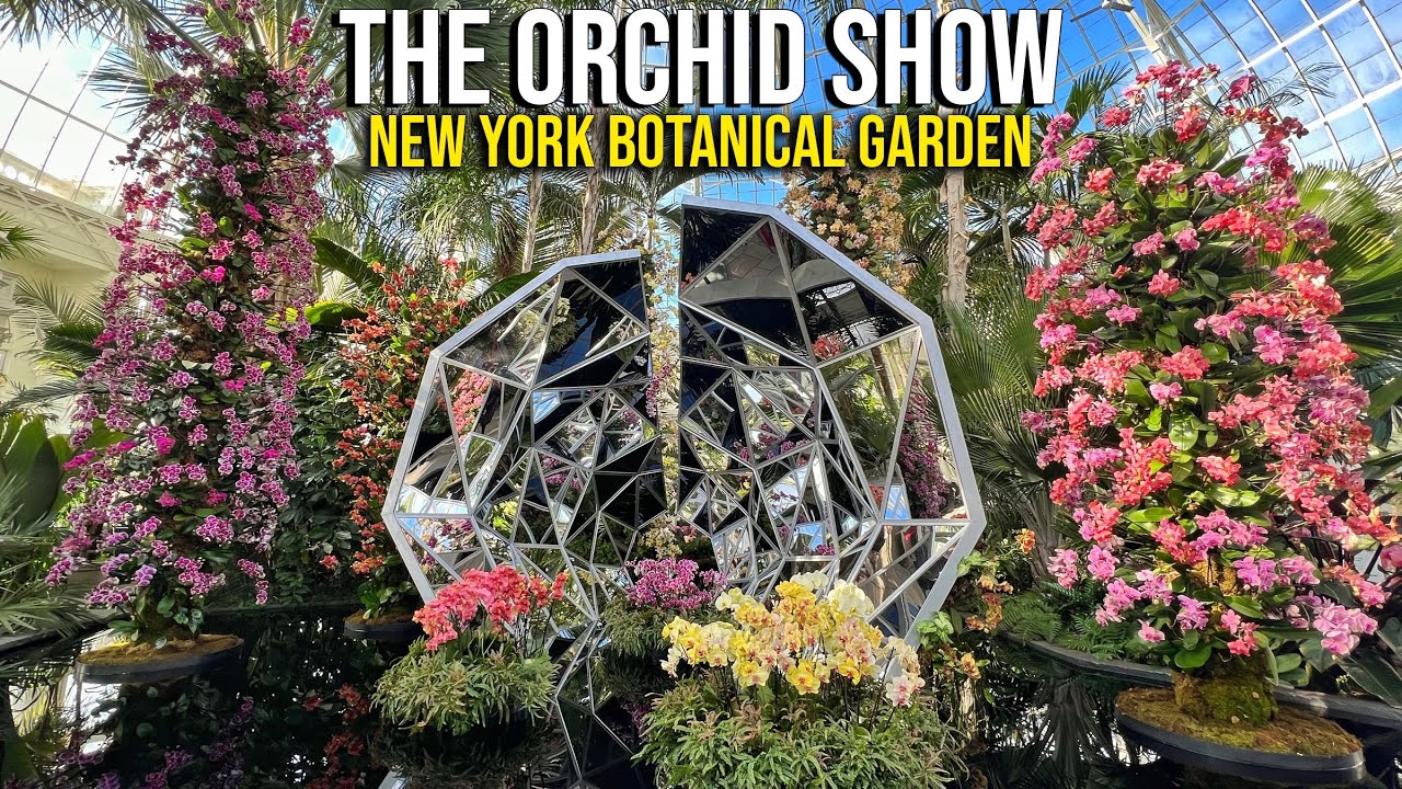 ⁴ᴷ Virtual Tour of The Orchid Show at New York Botanical Garden 2022