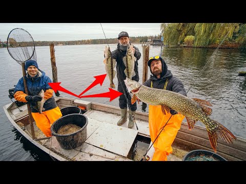 Fischer VS Angler - Wer fängt mehr? (Krieg auf dem See)