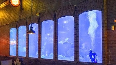 DSE 2018: Userful Video Wall Cloud Management Solves Scalability Challenges