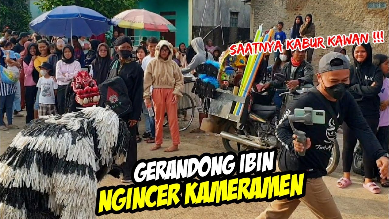 KAMERAMEN KUCAR KACIR DI KEJAR GERANDONG IBIN ️ ️KUDA LUMPING MUTIARA