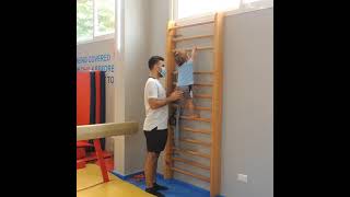 PreSchool Gymnastics - FlexZone Gymnastics