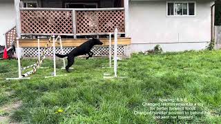Foundation Jump Lesson 1 - set point