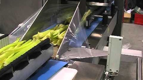 Delfin Tucano 600 flow wrapper machine with box motion packing fresh veg