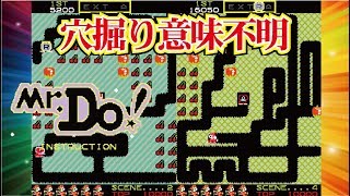 Mr Do! Arcade cheat アーケード チート Net Worth