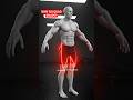 🦵 Why Do Your Legs Look Skinny From the Front