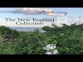 The New England Collection