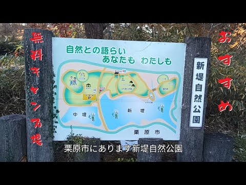 【無料キャンプ場】宮城県栗原市の新堤自然公園