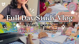 12  hours study vlog 📚📖✨| Productive day Study Vlog | exam tips ✨#exam #studyvlogsinhala 