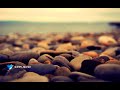 عبد الرحمن العوسي سورة النمل كاملة عبد الرحمن العوسي سورة النمل كاملة