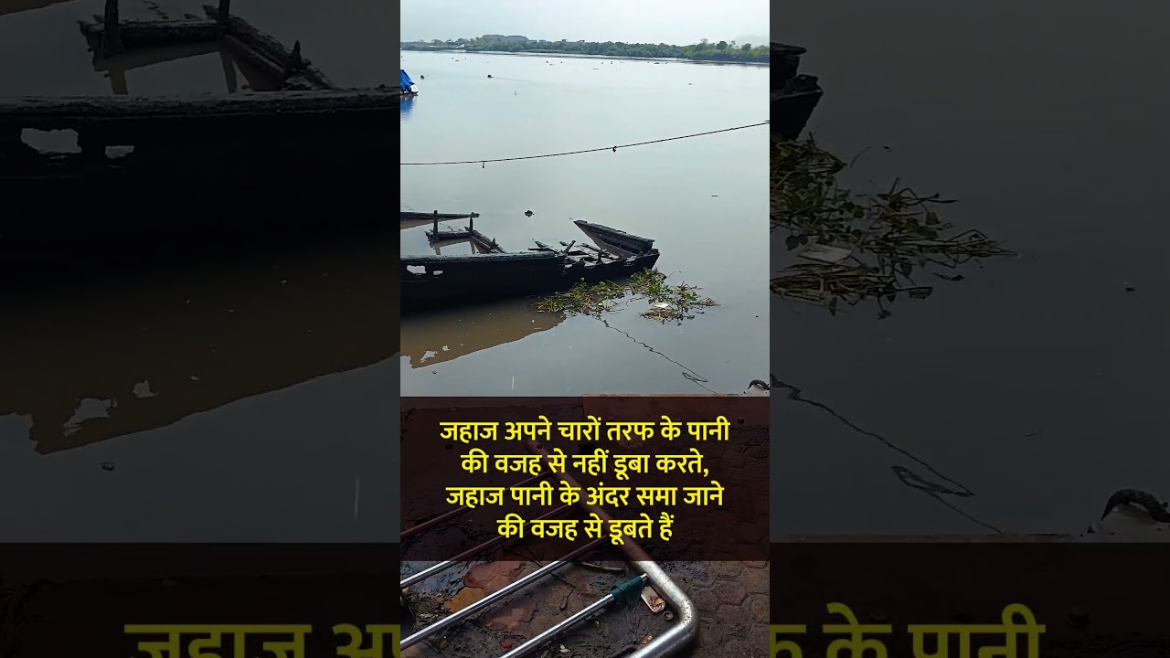 everyone is temporary 