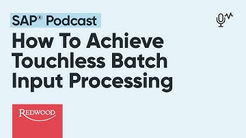 How to Achieve Touchless Batch Input Processing in Sap
