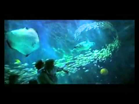 Visa commercial - Tuesday Afternoon 60 second version