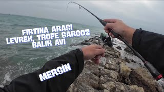 Fırtına Arası Lrf Levrek / Trofe Sargoz Balık Avı Mersi̇n / Hanfish Kunduz Ghost Fly Ug / Sandeel
