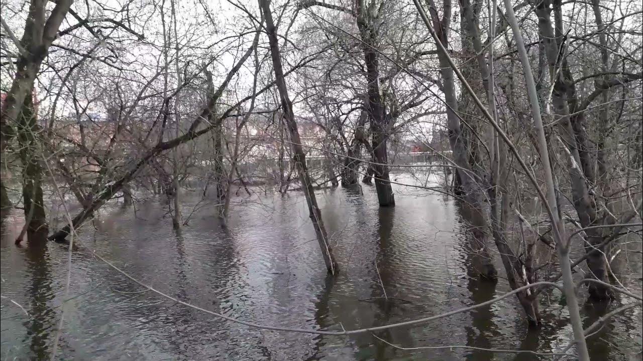 Река разливалась широченным озером впр. Река Клязьма Орехово-Зуево. Разлив Клязьмы в Орехово-Зуево 2022. Набережная реки Клязьма Орехово-Зуево. Клязьма разлилась в Орехово-Зуево.