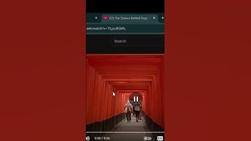 Tab URL Collector | Chrome Extension | Demo