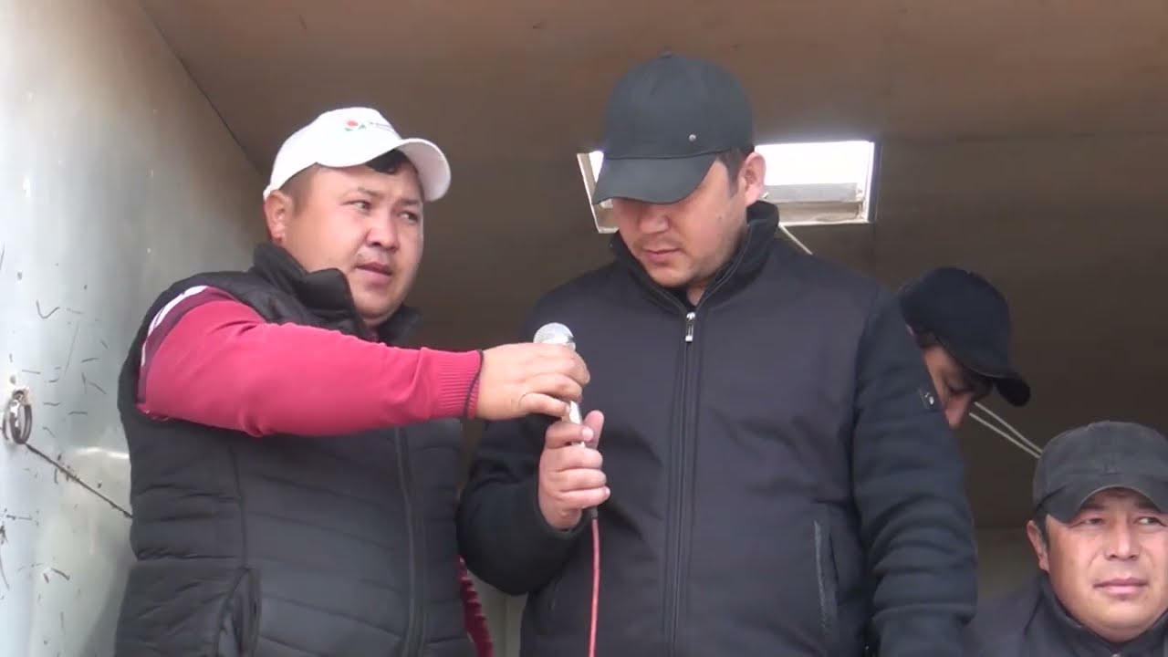 Кенимех көкпар Саржал ауылы 22-02-2023