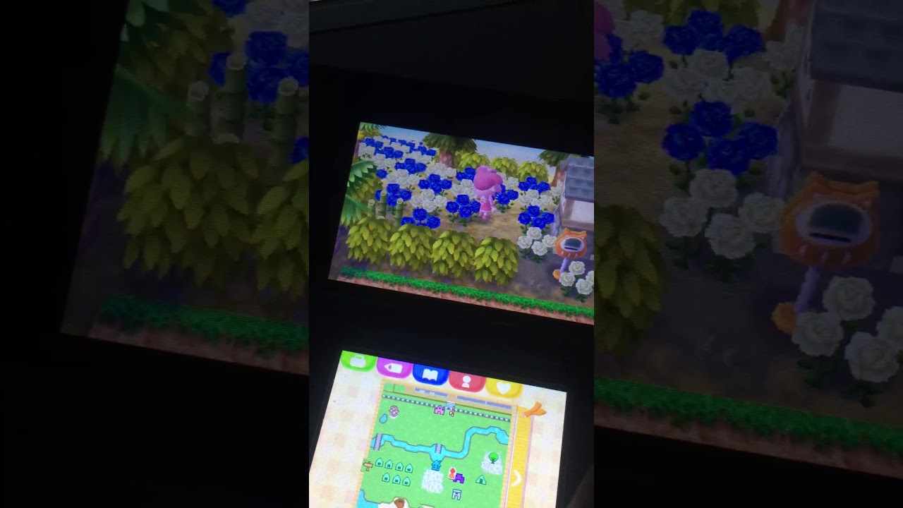 camera iphone 8 plus apk ROBANDO EN ANIMAL CROSSING NEW LEAF WELCOME AMIIBO
