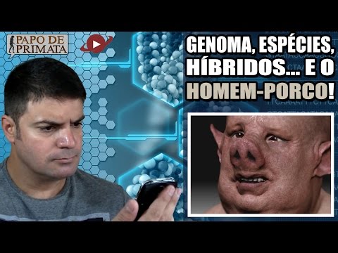 Vídeo: Os humanos estão mais próximos de porcos ou chimpanzés?