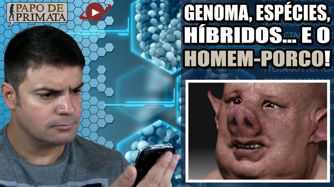 genoma-esp-cies-h-bridos-e-o-homem-porco-youtube