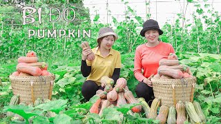 Lucia Harvesting pumpkin to the market sell  construct a well! Lucia's daily life