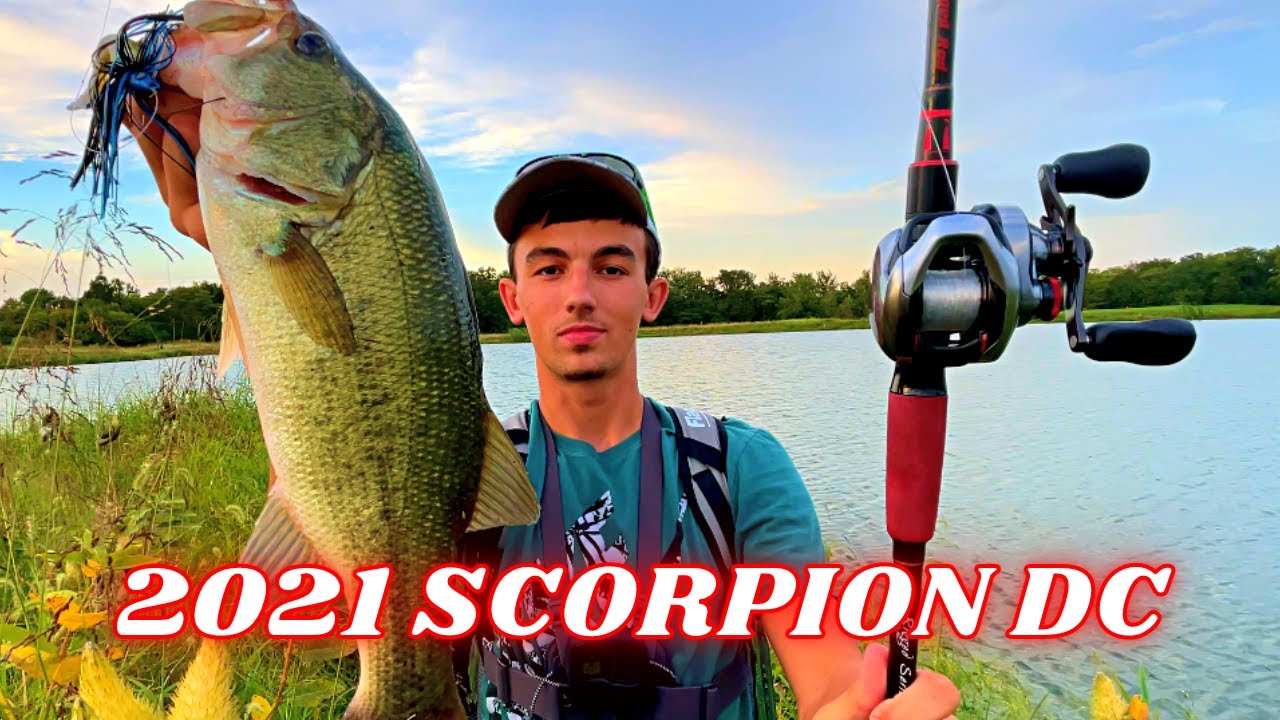 Shimano 21 Scorpion DC REVIEW  This Reel Is INSANE!! 