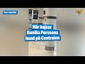 Här bajsar Gunilla Perssons hund på golvet