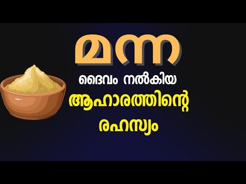 1848 The heavenly food called manna