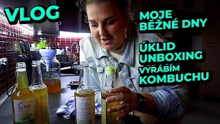 VLOG z mých běžných dnů - Výroba kombuchy, úklid & unboxing