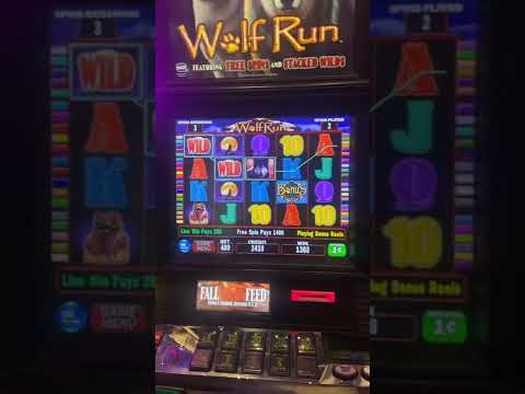El amor está en el aire (Completo) | Paradise Casino