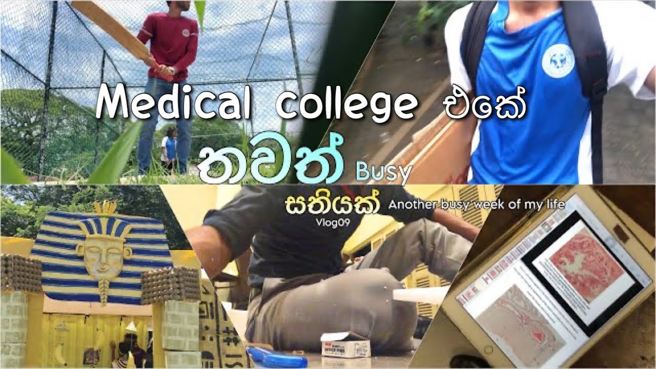 තවත් busy සතියක්/Another busy week/Vlog09/University of Colombo #medicalcollege #vlogger #studyvlogs