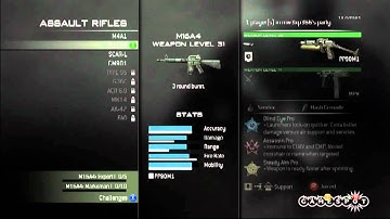 Modern Warfare 3 - Primary Weapon - Custom classes