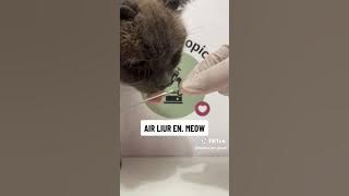 Air liur Anjing kalau dilihat di mikroskop apa isinya