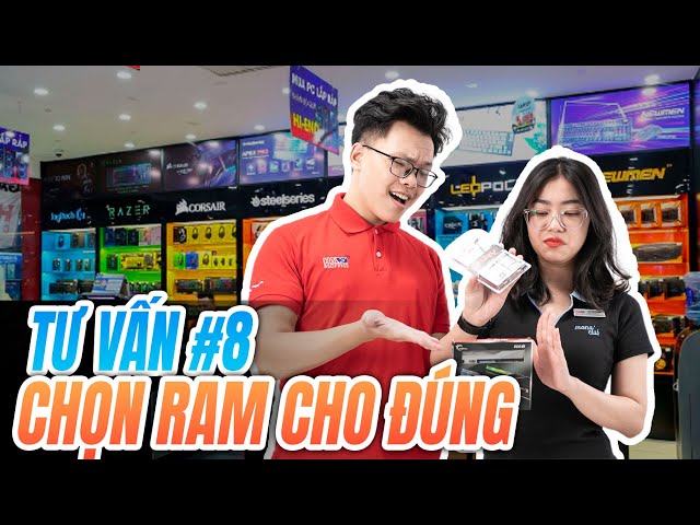 Tư Vấn #8 Mua Ram Cần Xem Xét Gì?