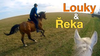 Cval na loukách a koupání v řece  🏇🏇 Epic horse galloping