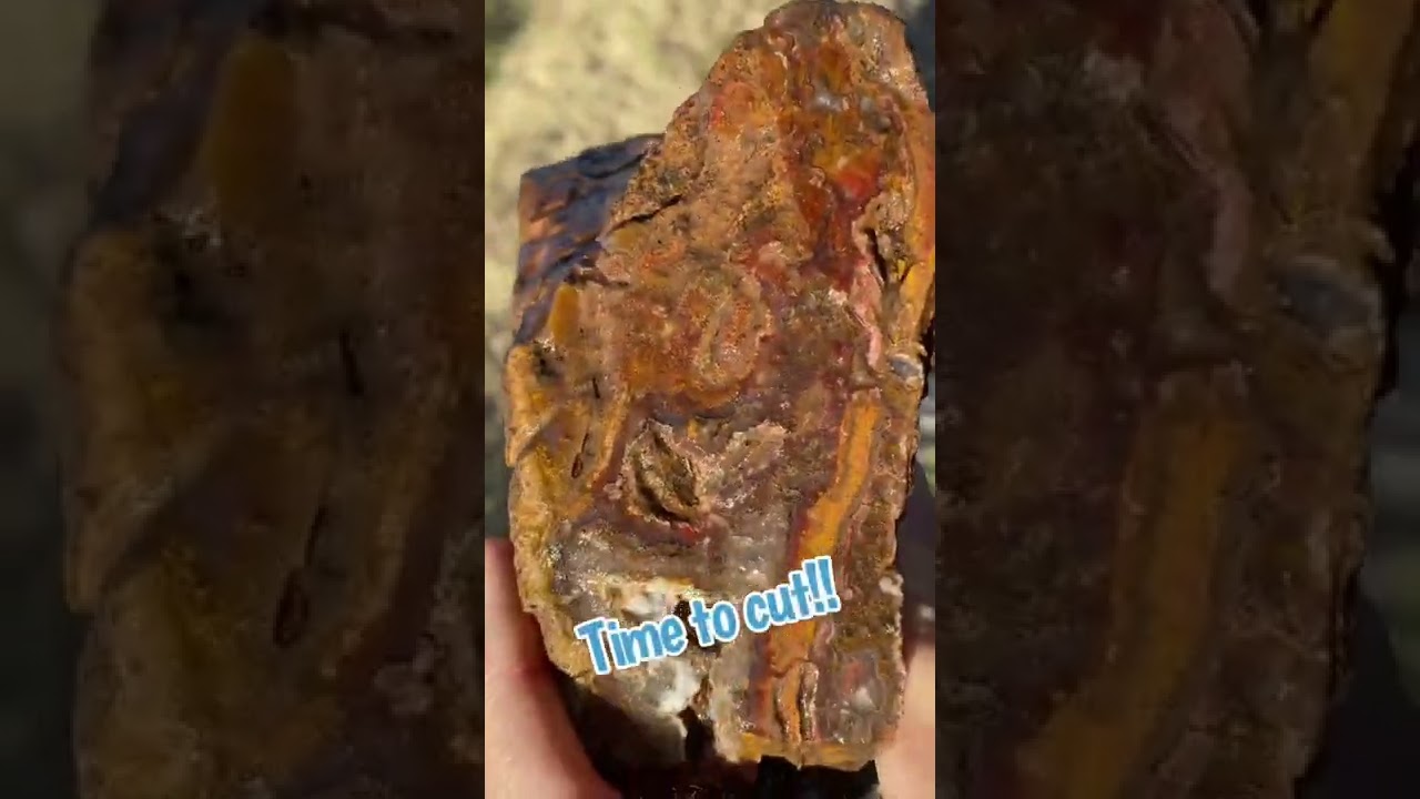When I told my husband I left a cool agate out in the forest… 