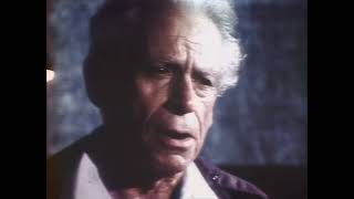 Samuel Fuller interview Samuel Fuller interview