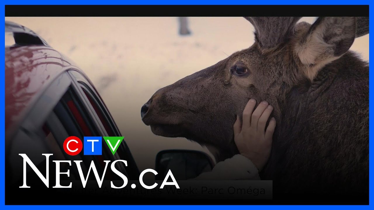 Winter Adventures Week: Parc Oméga