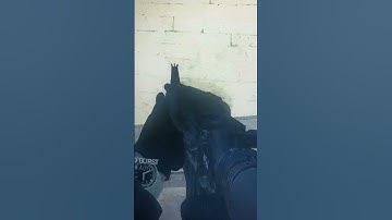 somebody help to fix bug on this garry