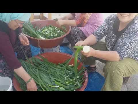 Заготовка лука порея на зиму турецкими хозяйками. 18.05.2022.Орду. Турция.Карадэниз.