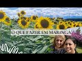 Euro Garden * campo dos girassois * lojas no centro e muito mais