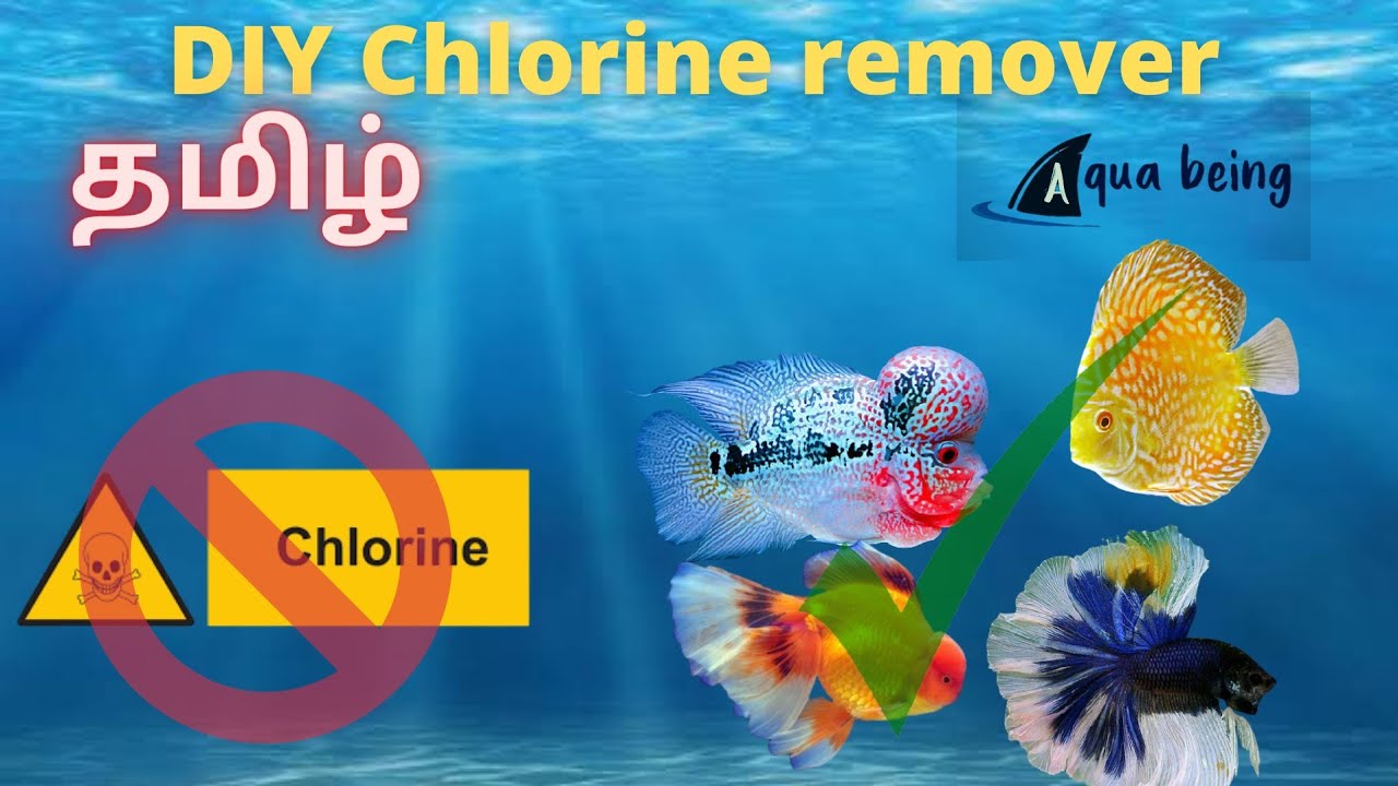 DIY Chlorine removerTamilதமிழ் YouTube