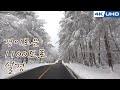 한국의길76. 제주도 1100도로 경이로운 설경/Korea&#39;s Road76. Jeju island 1100 Road in Winter(Snow Scene)