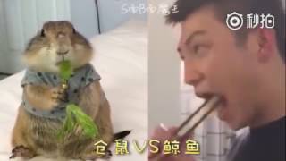 170425 他萌啊 黄景瑜 许魏洲 170425 他萌啊 黄景瑜 许魏洲
