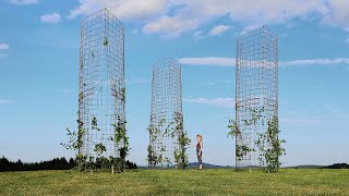 christoph hesse leads 'rural rebellion' exhibition at aedes berlin to reimagine the countryside